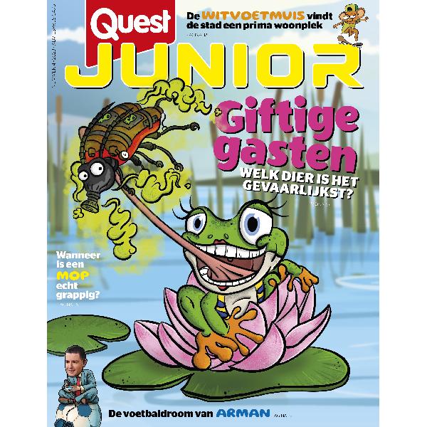 Quest Junior 4/2023