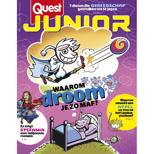 Quest Junior 5/2023