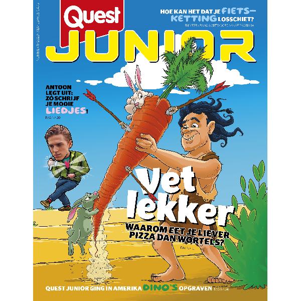 Quest Junior 1/2023
