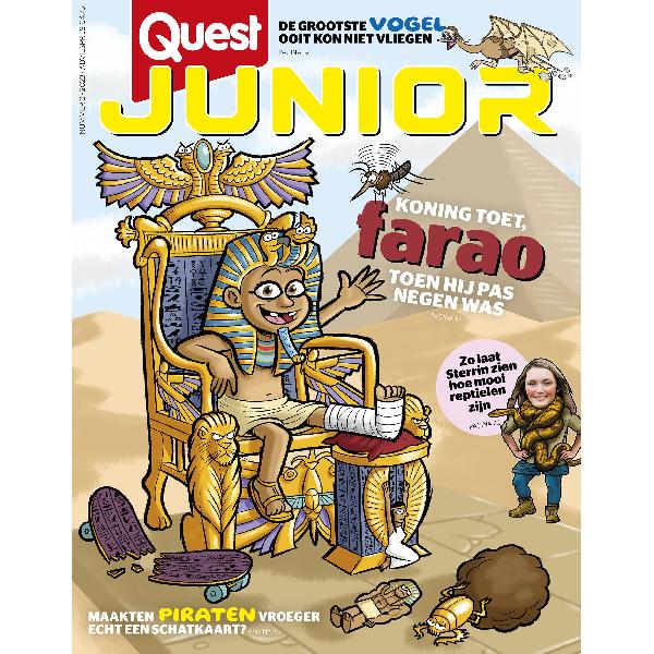 Quest Junior 2/2023