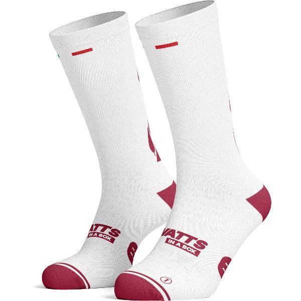 Watts in a box fietssokken - White Cypress Roads - All-season - Maat L/XL (43-47)