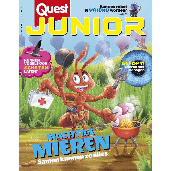 Quest Junior 8/2023